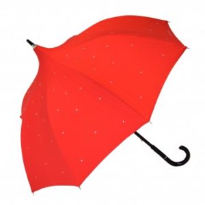 Parapluies Toulouse