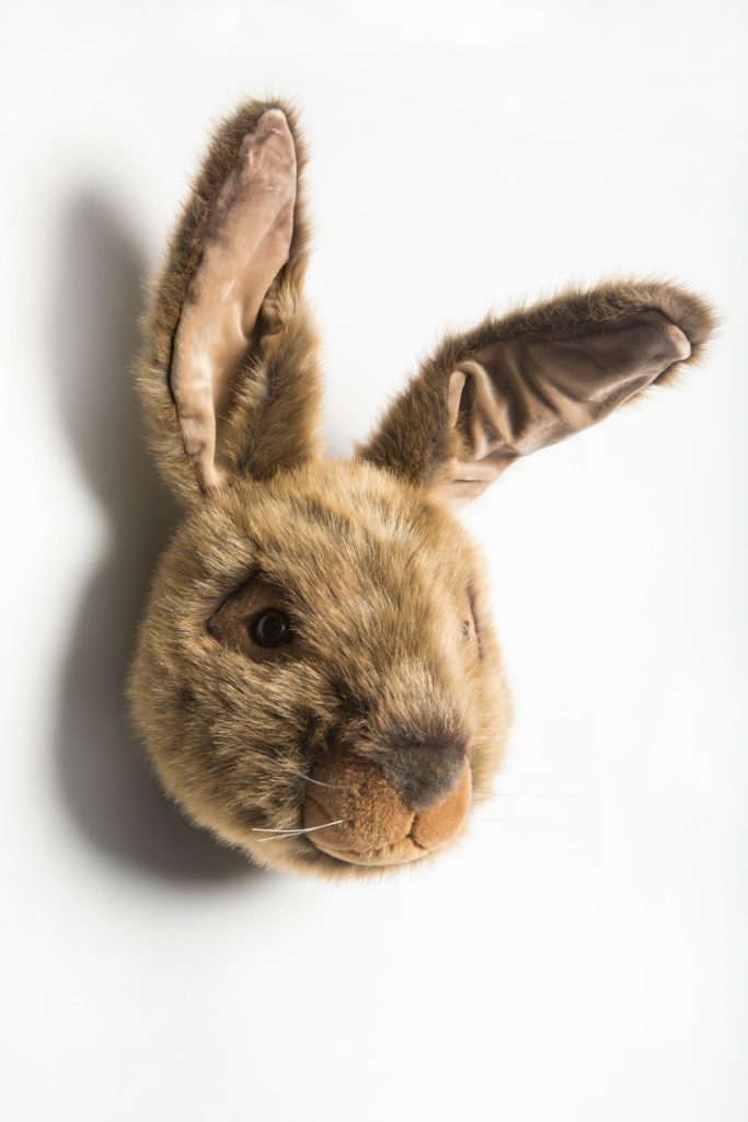 Wild & Soft Trophée peluche Lievre Lewis Toulouse design