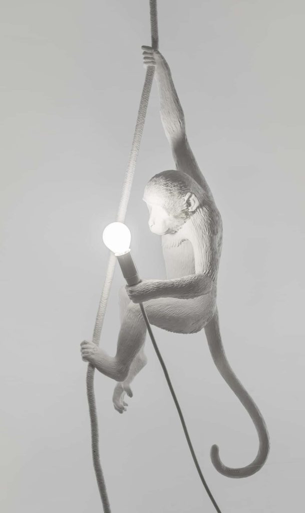 Seletti - lampe singe sur sa liane Toulouse BoutiquesSeletti - lampe singe sur sa liane Toulouse Boutiques