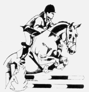Magasins matériel équitation Toulouse Equi sud boutique Magasins matériel équitation Toulouse Equi sud boutique
