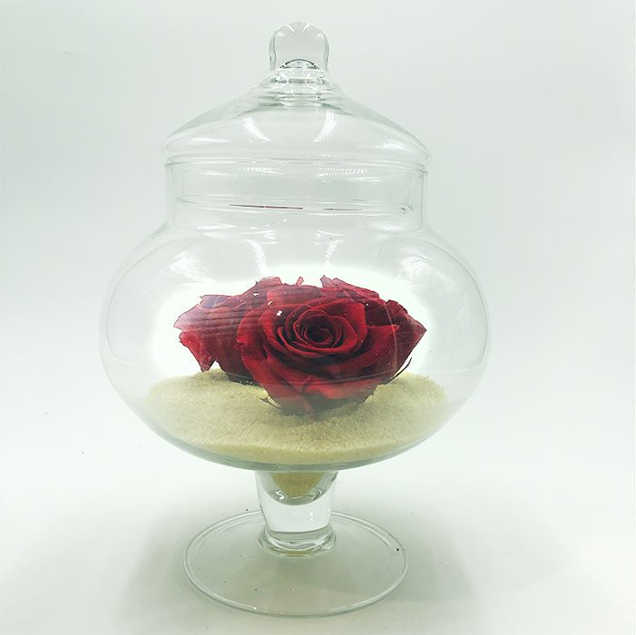 Composition florale toulouse boutiques Alocasia