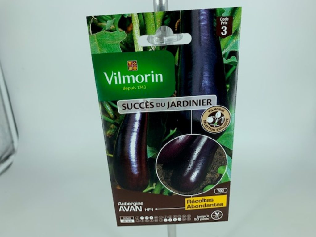 Aubergine Avan Jardinerie Toulouse