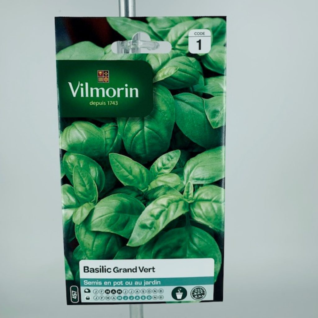 Bsilic Grand Vert Jardinerie Toulouse