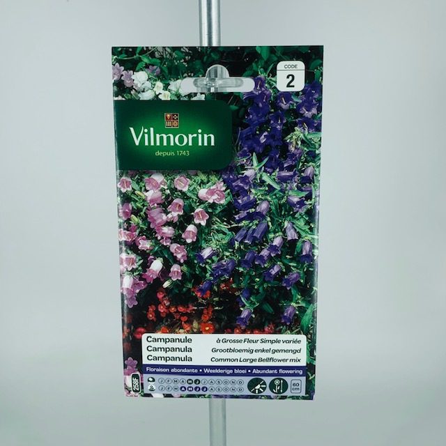 Campanule à grosse fleur simple varié graines Vilmorin au parfait jardinier Toulouse Boutiques.com