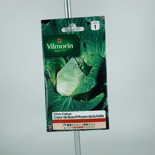 Chou Cabus Coeur de Boeuf Moyen de la Halle Jardinerie Toulouse Chou Cabus Coeur de Boeuf Moyen de la Halle Jardinerie Toulouse
