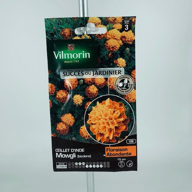 Oeillet d'inde mowgli graines Toulouse boutique Oeillet d'inde mowgli graines Toulouse boutique