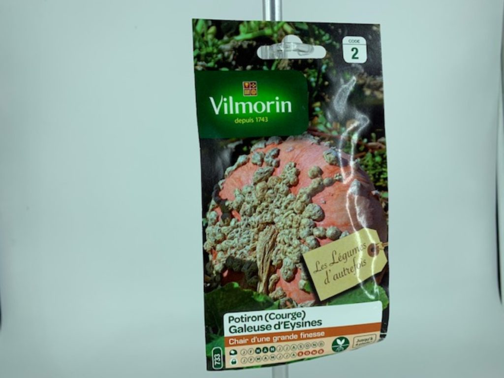 Potiron Courge Galeuse d Eysine Jardinerie Toulouse