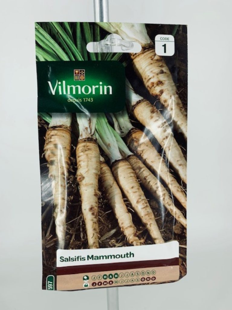 Salsifis Mammouth Jardinerie Toulouse Salsifis Mammouth Jardinerie Toulouse