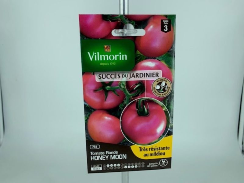 Tomate ronde Honey Moon jardinerie Toulouse