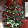 Sapin-de-noel-Nordmann-Bio-Toulouse