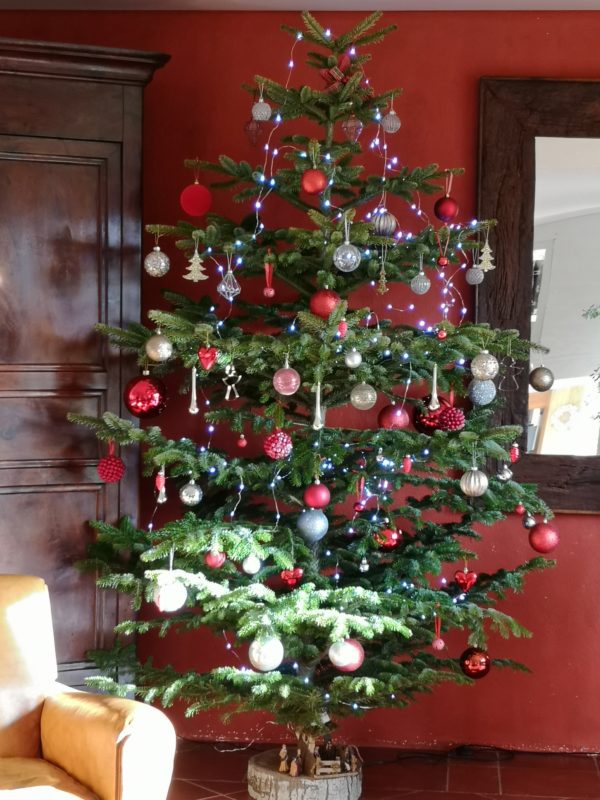Sapin-de-noel-Nordmann-Bio-Toulouse