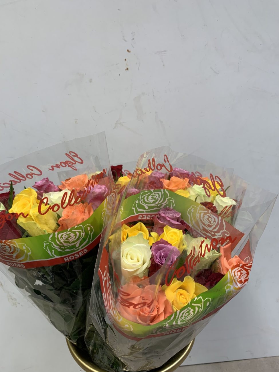Bouquet de 10 roses coupées TOULOUSE