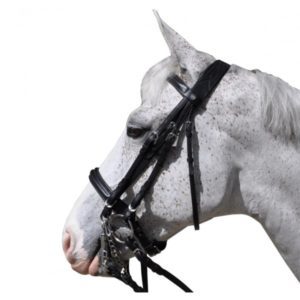 Hagen bride Flags&Cup Taille FULL