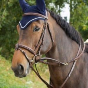 Enrênement Howlett HFI