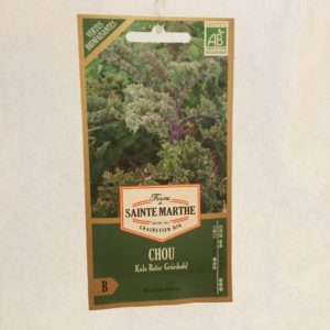 Chou Kale Roter Grünkohl Bio Ferme de Sainte Marthe