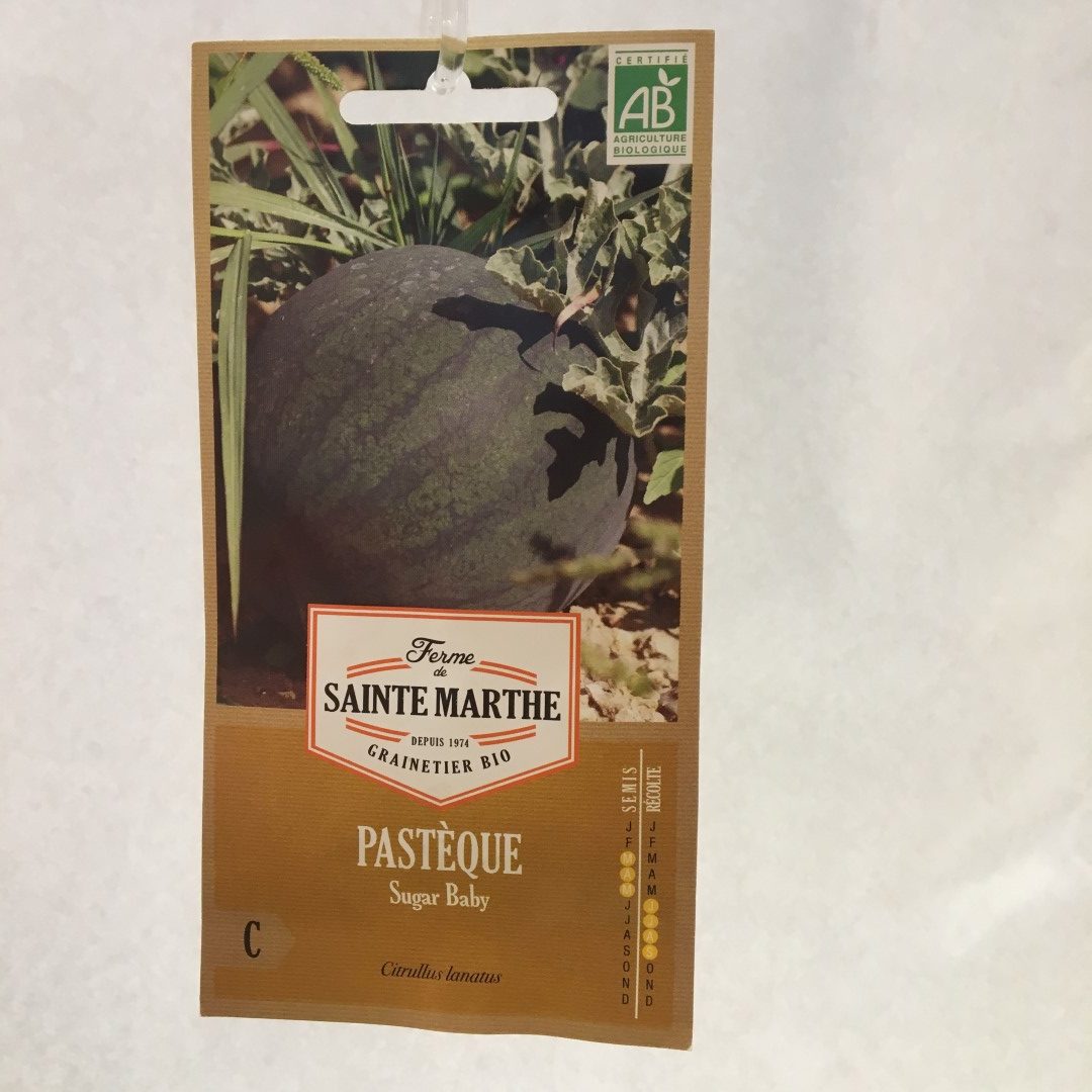 Pastèque Sugar Baby Bio Ferme de Sainte Marthe