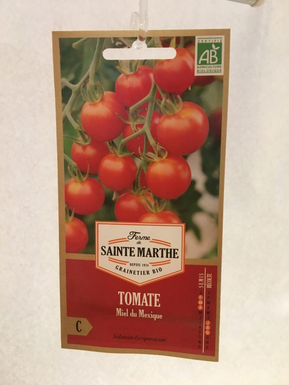 Tomate Miel du Mexique Bio Ferme de Sainte Marthe