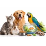Animalerie